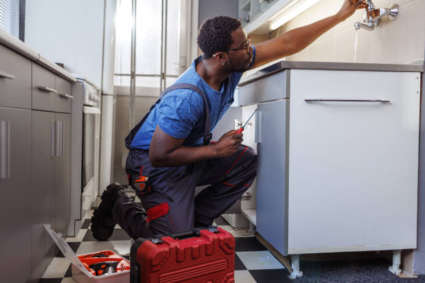 Best Commercial Plumbing Services  in Sturgeon, PA
